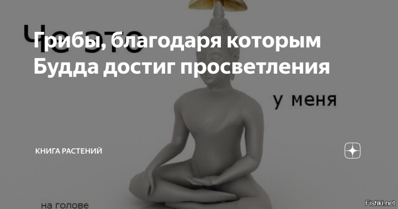 Может стОит поменять рацион ???
