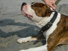 Я и сейчас могу. Он конечно вербально не может ответить, в принципе, но что я хочу от него или что хочет он мы понимаем. Мне достаточно ходить хмурым, что бы он видел что надо вести себя спокойно, не до игрушек. Или наоборот )