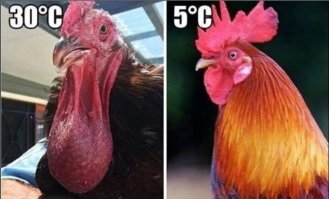 Смешные картинки