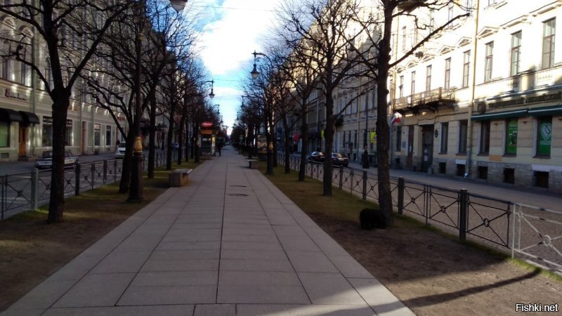 Вот. Питер во время карантина (это я с собакой гулял).
Для тех, кто не знает - это Невский проспект, Дворцовая площадь, Конюшенные улицы. Т.е. самый Центр, в разгар дня и ближе к вечеру. Обычно там не протолкнуться. А уж пустой Невский... Впечатлил!