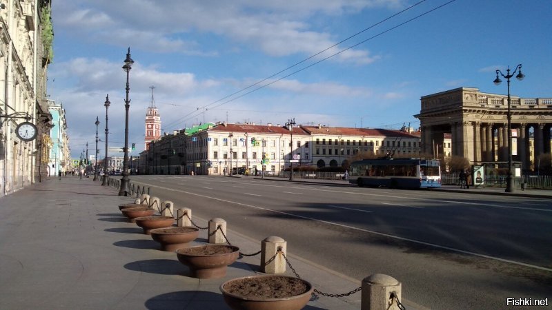 Вот. Питер во время карантина (это я с собакой гулял).
Для тех, кто не знает - это Невский проспект, Дворцовая площадь, Конюшенные улицы. Т.е. самый Центр, в разгар дня и ближе к вечеру. Обычно там не протолкнуться. А уж пустой Невский... Впечатлил!