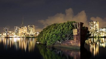 "Точно неизвестно, почему старичок оказался брошен в бухте ввиду Сиднея, но факт остается фактом   груда металлолома за более чем 70 лет превратилась в плавучий тропический лес, любимый падкими к экзотике туристами."
Повторятся не хорошо, но раз пост скопирован с прошлогоднего, то можно ...

Это не на плову, а на дне, в таком состоянии ничего плавать не может.