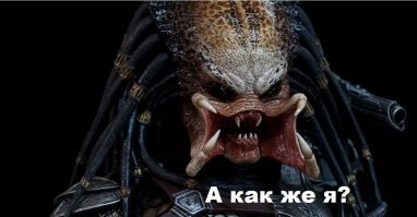 10 лучших фильмов о животных, которые порадуют всю вашу семью