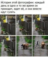 Смешные картинки и не очень