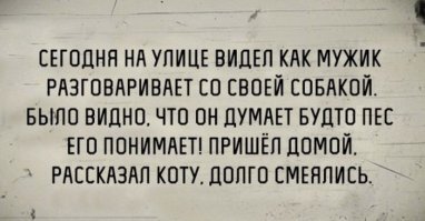 Японцы заявляют, что через 20 лет мы сможем говорить с собаками