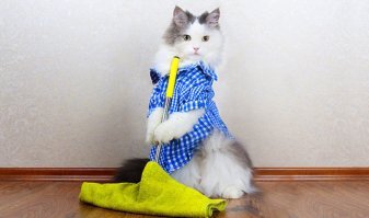 Ложь!