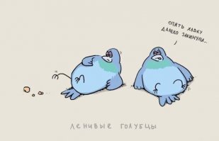 Прикольные и смешные картинки