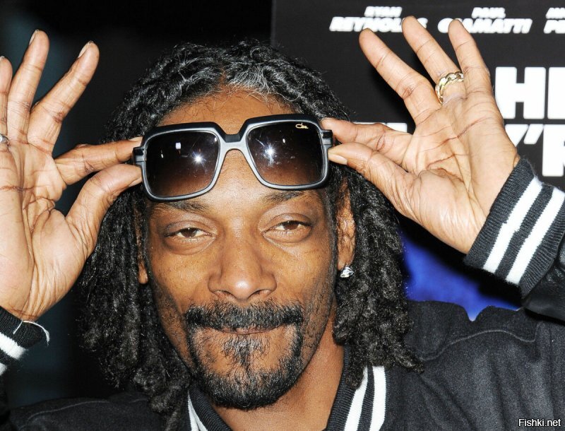 Американский рэпер, продюсер и актёр. Snoop Dogg начал свою карьеру в 1992 году после знакомства с диджеем и продюсером Dr. Dre. Больше всего Снуп известен как МС на хип-хоп сцене западного побережья и один из протеже Dr. Dre.