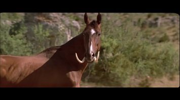 Да ладно, а как же эти?