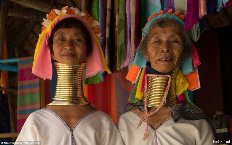 Падаунга поет... вроде...