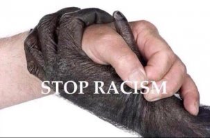 Чёрные шутки важны: подборка мемов по мотивам событий в США