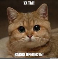 Молодожены случайно узнали, что знакомы с детства