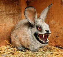 Саблезубые тигры: Всем известные кошки, которых никогда не существовало