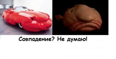 Фотоподборка