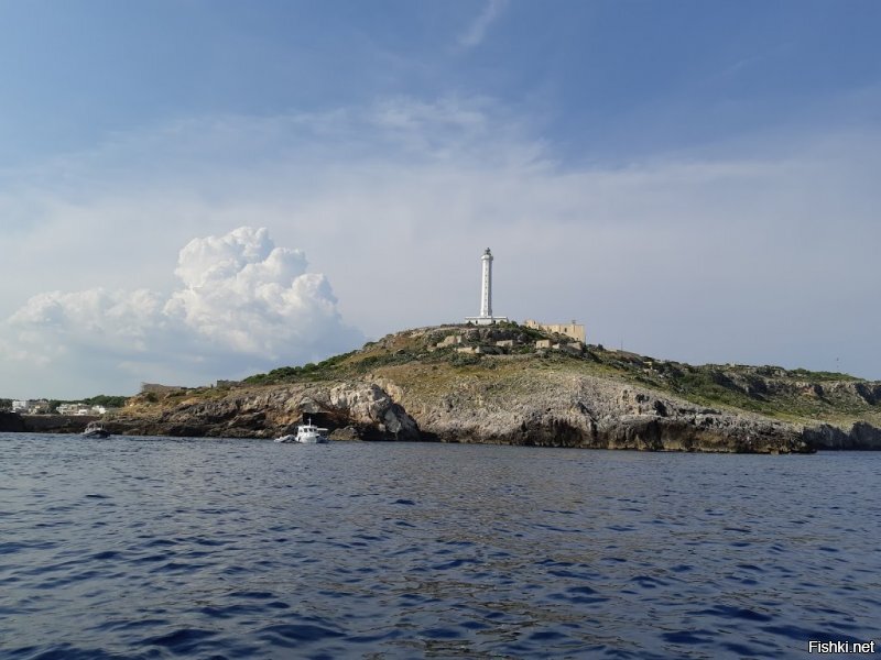 Солянка от 20.06.2020
