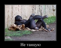 Прикольные и смешные картинки