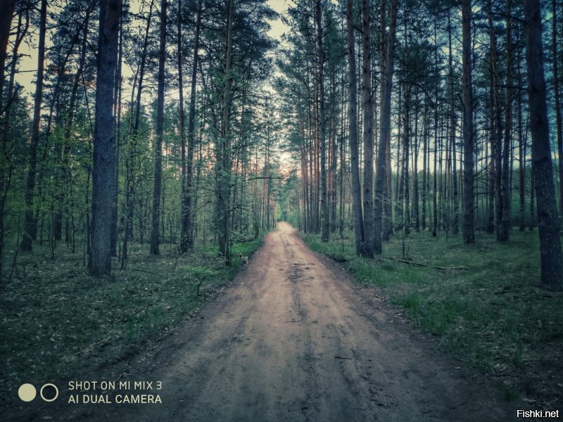 Солянка от 20.06.2020