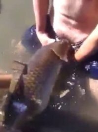 Смешные картинки