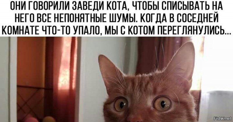 Солянка от 20.06.2020