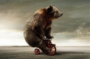 просто это был, цирковой медведь. увидел велик и его переклинило!
