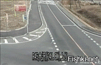 Солянка от 20.06.2020