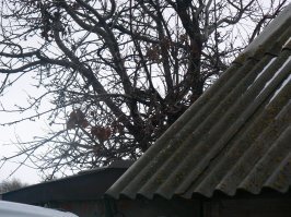 На поиски кота за телевизором у меня ушло 10 сек. А вот моего кота на фото только 70% моих знакомых нашли