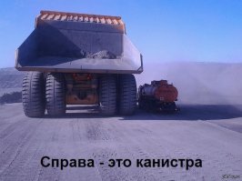 Прикольные и смешные картинки