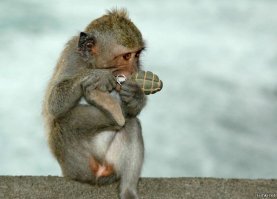 Смешные картинки и не очень