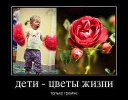 Смешные картинки и не очень