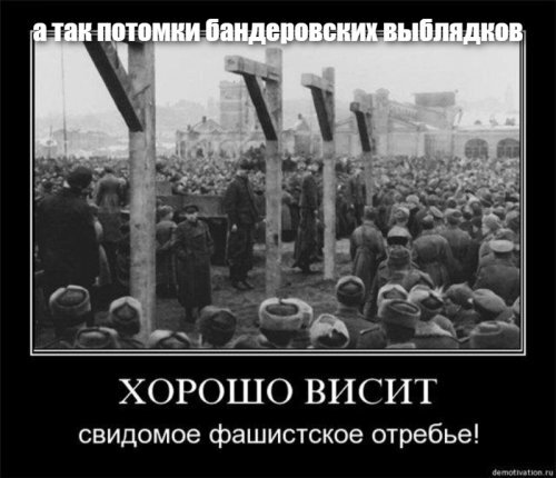 Как зачищали бандеровцев: ликвидация банды Резуна