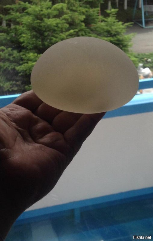 Солянка от 21.06.2020