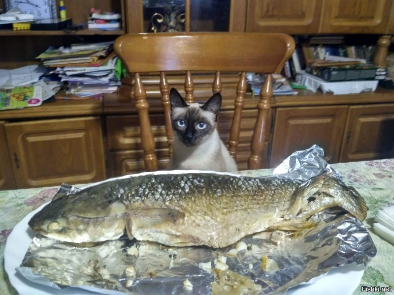 там сосед вооооот такууууую рыбину поймал