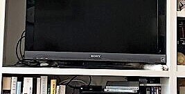 Фотозагадка: где на полках сидит кот