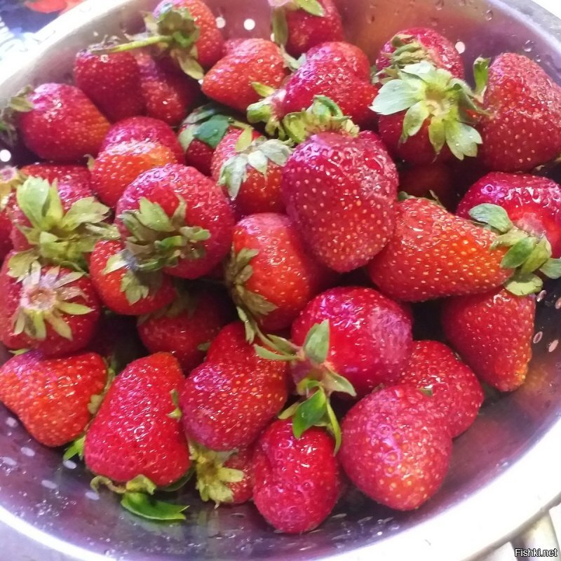 Солянка от 21.06.2020