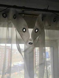 Что тут такого?