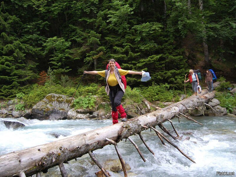 Мне больно это говорить, но, похоже...
Мост гораздо интереснее, когда он дерево...