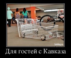Смешные картинки