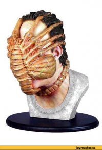 Смешные картинки и не очень