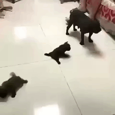 Солянка от 21.06.2020