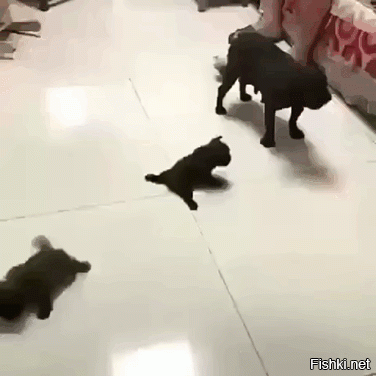 Солянка от 21.06.2020