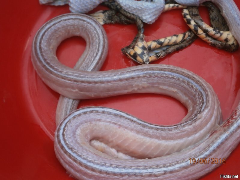 Где-то так...