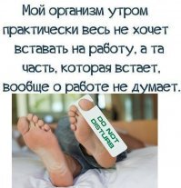 Свежачки из серии "Показалось", или Как мозг опять не дает нам скучать