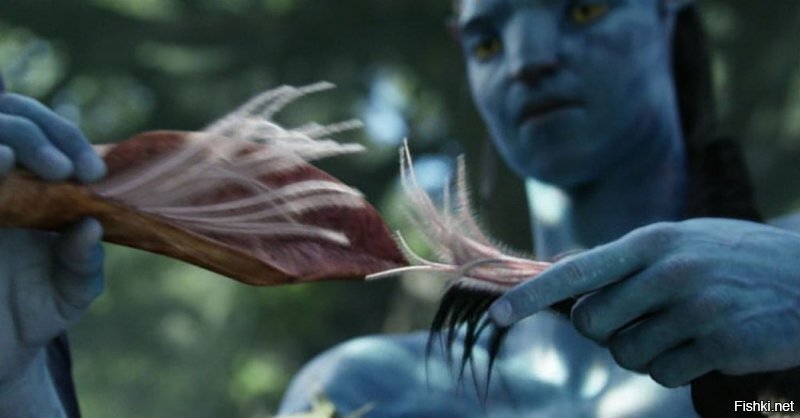 Это не волосы, это..