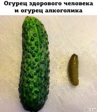 Смешные картинки и не очень