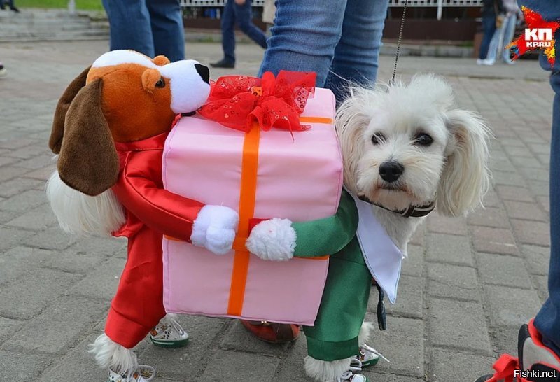 Солянка от 21.06.2020