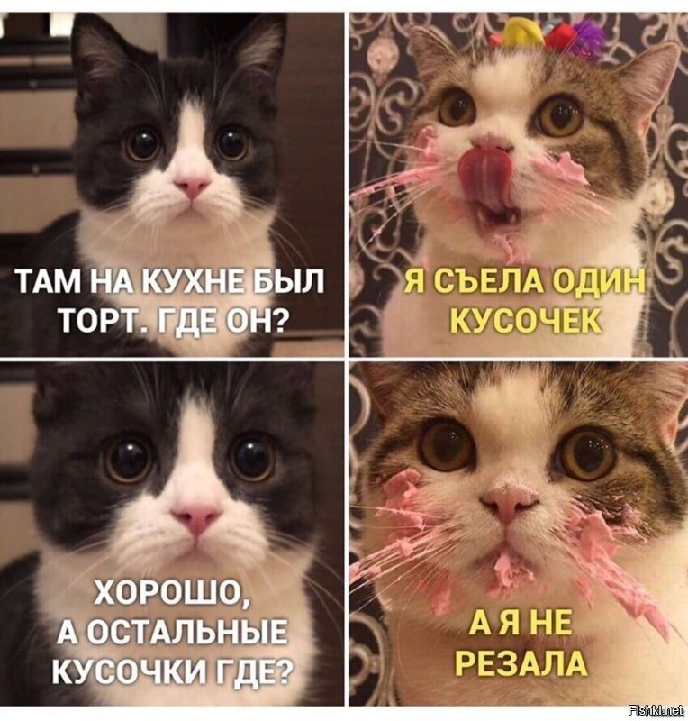 Солянка от 21.06.2020