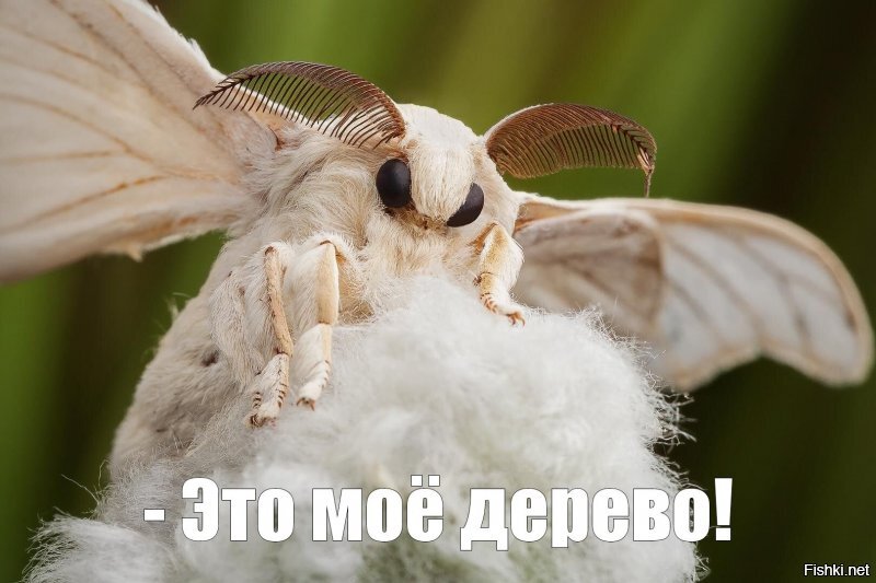 Солянка от 22.06.2020