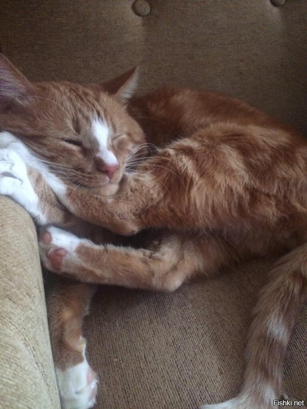 Тимоха спит