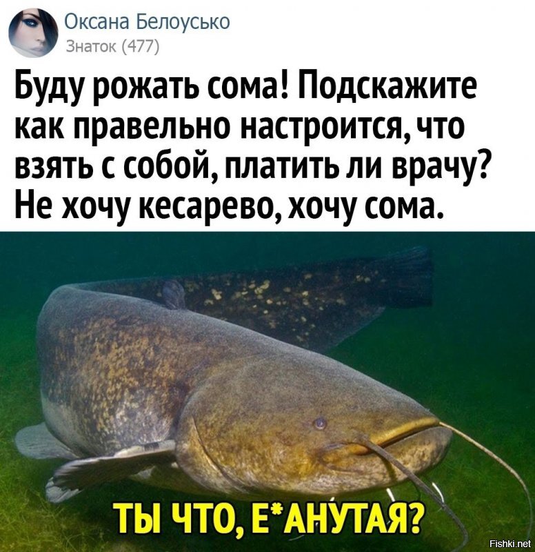 Солянка от 21.06.2020