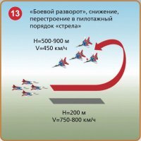 Я как-то такого поймал и отпустил с балкона. А получилось как на картинке, а кусаются они чувствительно.